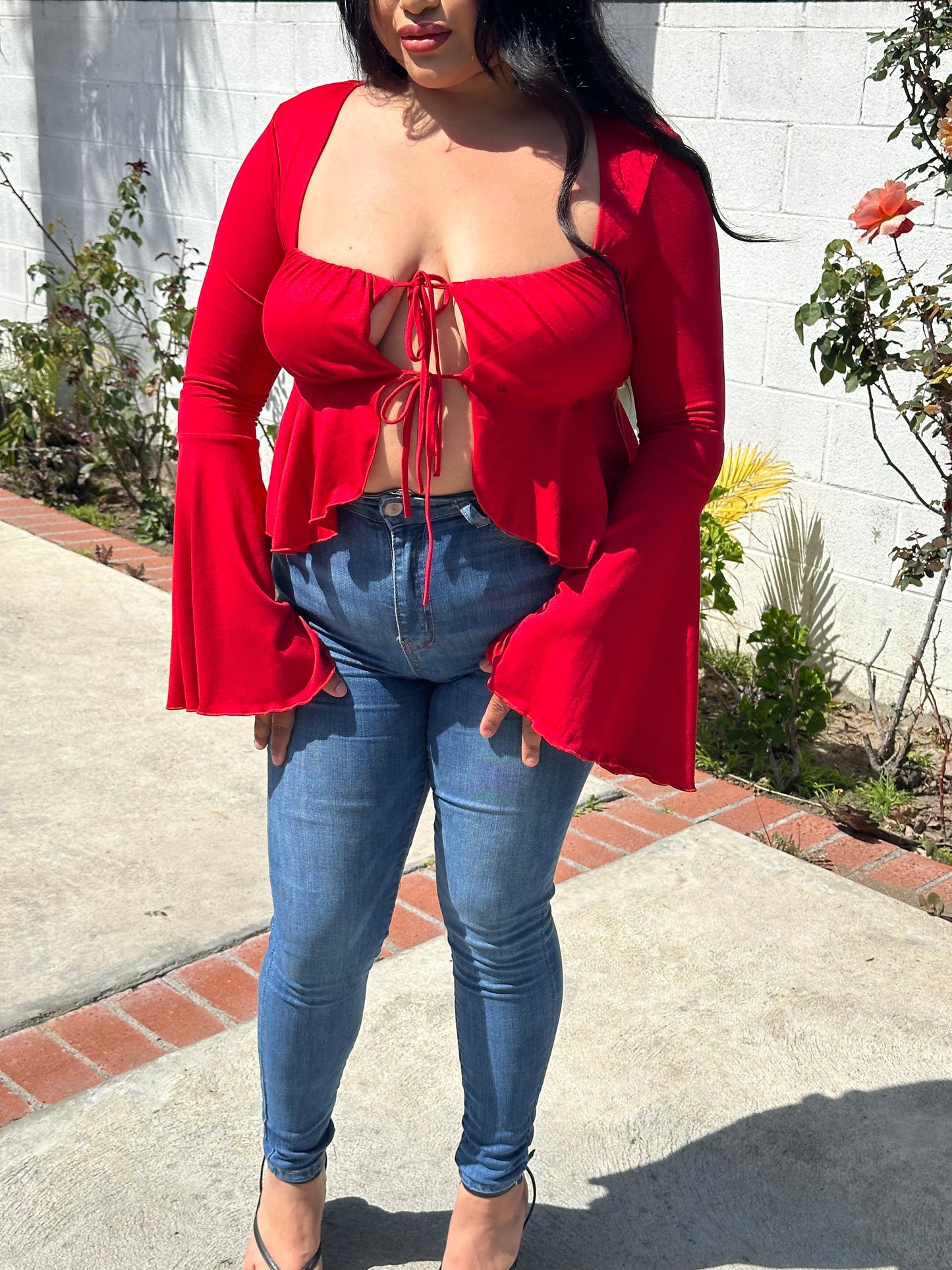 Love Bug Top